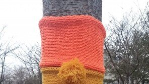 선물[고양이 눈]