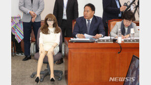 “리얼돌, 풍속 해치는 물품 아닌 성기구”…법원, 수입허용 판결