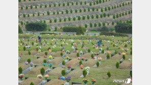 ‘아범아 오지마라’…이번 설 명절도 “비대면이 대세”
