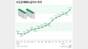 공급 대책에도 시장 ‘시큰둥’…수도권 아파트 ‘매수세’ 우위 역대 최고