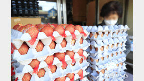 무섭게 오르는 계란값…1인당 1판 대형마트 구매 제한