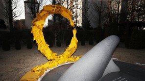 정부 “세월호 수습비용 달라” 청해진해운 임직원 상대 소송 패소