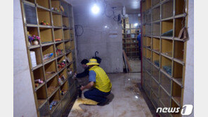 폭우 침수 유골함 ‘사골곰탕’ 모욕한 누리꾼 6명 ‘무혐의’…왜?