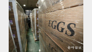 국산 달걀 값 폭등…미국산 달걀 20t 국내 도착 [청계천 옆 사진관]