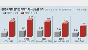 ‘집콕’엔 넓게… 중대형 12% 뛰었다