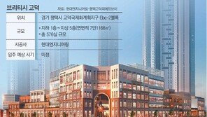 고덕신도시에 영국 온듯한 스트리트몰