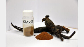 홍삼 기능성 성분, 폐암 전이 억제한다…천연물 유래 항암제 근거 제시