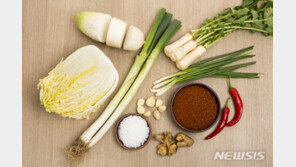 日언론 “한국 김치는 中파오차이의 파생형”