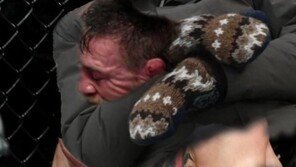 옥타곤까지 진출한 80세 ‘샌더스 밈’…이 사진 한 장으로 시작?