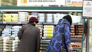 계란 값 폭등에 수입 계란 들여왔지만…대형마트 “글쎄”