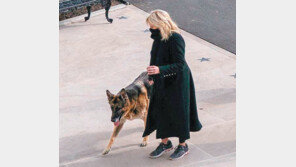 美 정치권에 부는 ‘반려견 바람’…무슨 일?