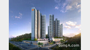 분양가 5000만원 시대… 가격 낮춘 새 아파트 틈새시장 노린다