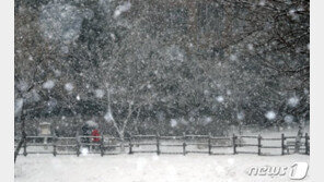 내일 태풍급 강풍에 큰 눈까지…‘냉동실 추위’ 예상