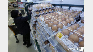 28일부터 달걀 한 판당 5000원대 초반에 판매…달걀값 안정될까?