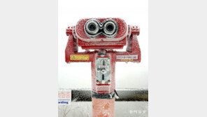 얼음, 땡![고양이 눈]