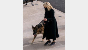 바이든 반려견 백악관 입성… 유기견서 ‘퍼스트 도그’로