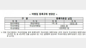 문체부, 여행업 등록 기준 완화 등…관광진흥법 개정안 입법 예고