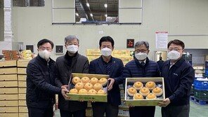 [포토]장철훈 농협경제지주 농업경제대표, 설 명절 대비 농산물 수급상황 점검