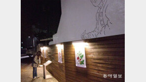 ‘공주 나태주 골목길’ 야경