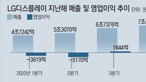 LG화학 年매출 30조 첫 돌파… 생활건강은 사상 최대 영업이익