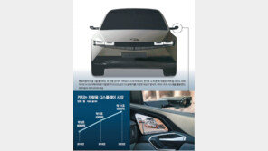 [단독]현대차에 삼성 OLED… ‘현-삼 동행’ 속도낸다