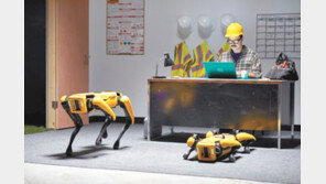 현대차그룹, 美로봇 기업 인수… 산업현장 로봇 서비스 확대