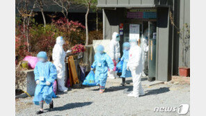 신규확진 497명, 이틀째 500명 안팎…국내발생 479명