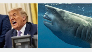 트럼프 아냐? 도플갱어 상어 등장…“미안한데 닮았다”