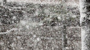 “오늘 폭설 제대로 맞혔네”…쪽집게 예보에 오보청 오명 벗나