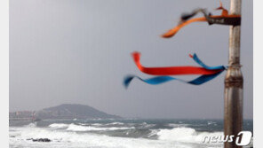 전국 강풍 특보…항공기 5편 결항·여객선 162척 통제