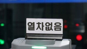 막차는 떠나고[고양이 눈]