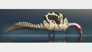 ‘물속의 포식자’ 스피노사우루스가 헤엄을 못 쳤다고?