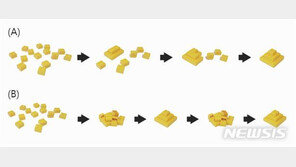 국내 연구진, 세계 최초 ‘핵생성’ 순간 관찰 성공