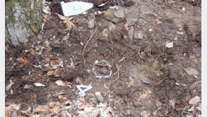 돌잡이 두고 참전한 父, 유해로 귀환…70대 아들은 울었다