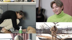 ‘상습파양 사과’ 박은석, 이번엔 허위사실 유포 의혹