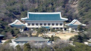 靑 “김종인 ‘이적행위’ 발언, 터무니 없는 주장”