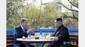 “北에 원전 건설은 이적행위” vs “추진한 적 없다”…여야 공방