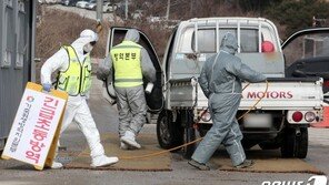 이천 산란계 농장 고병원성 AI 확진…국내 81번째