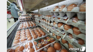 달걀 한판에 7300원…미국산 들여와도 고공행진