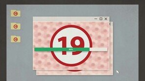 ‘건전한 성관념 왜곡’ 음란물 2000여개 배포 60대 집유