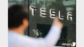 서학개미, 새해 한달만에 5兆 담았다…‘부동 1위 테슬라 1兆’