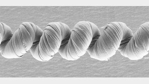 8기통 엔진의 6배 파워 ‘슈퍼 인공근육’ 나왔다