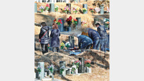 설 앞두고 미리 성묘