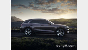 현대차, 1월 판매 실적↑ 제네시스 283.2% 급증