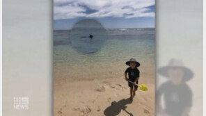 상어에 잡아먹힌 아빠가 배경…두 살 아들과 ‘마지막 사진’