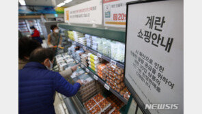 물가 4개월째 0%대…1월 AI로 달걀 15.2%↑·닭고기 7.5%↑