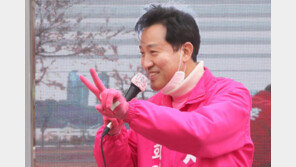 오세훈 “北원전 문건 v는 vip”…박주민 “문서작업 안 해봤나”