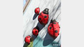 엄마 같이 가∼[고양이 눈]