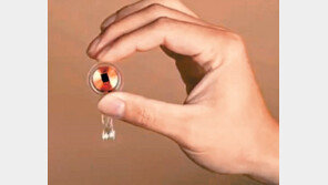 머스크 “원숭이 뇌에 칩 심어 게임 실험”