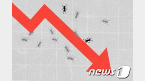 美 개미투자자들, 게임스톱 폭락에 ‘절망적인’ 저가매수 독려